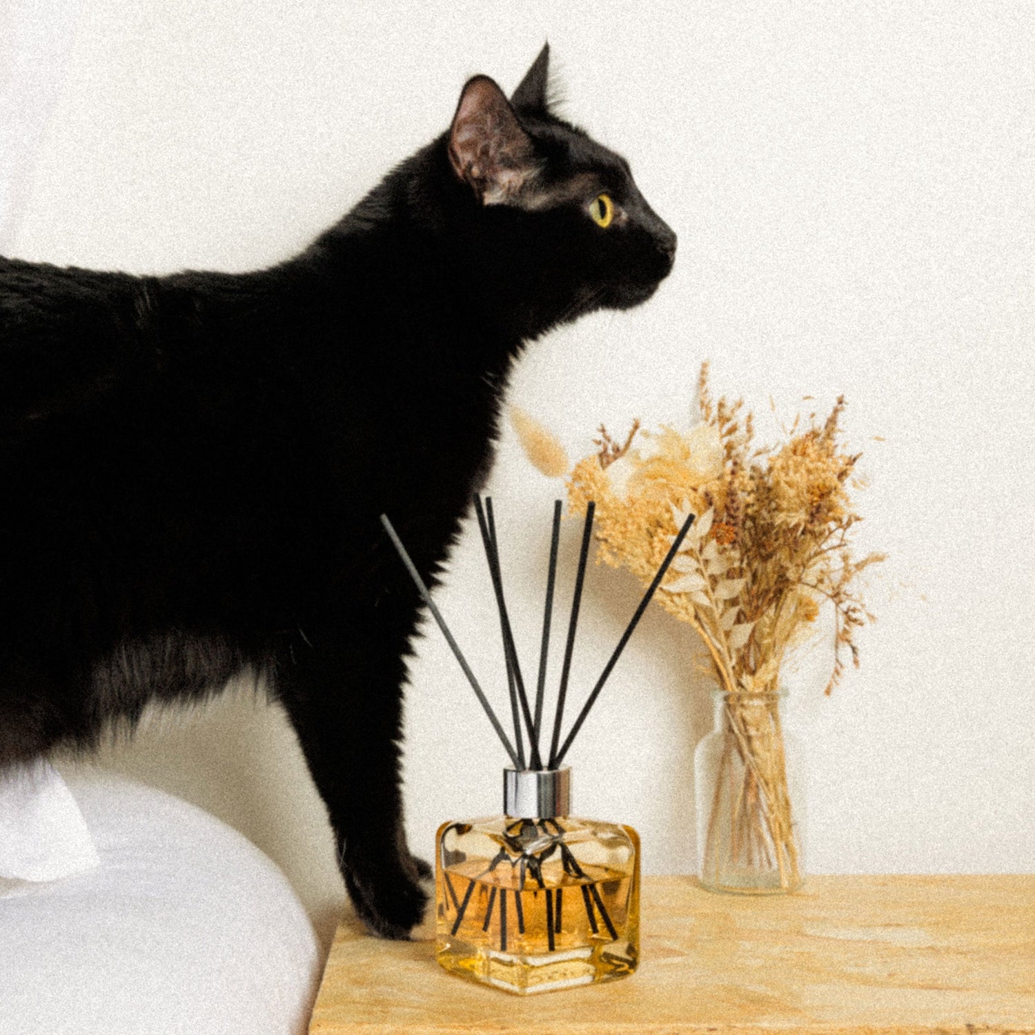 Anti-Odour Pet