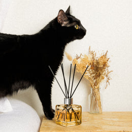 Anti-Odour Pet