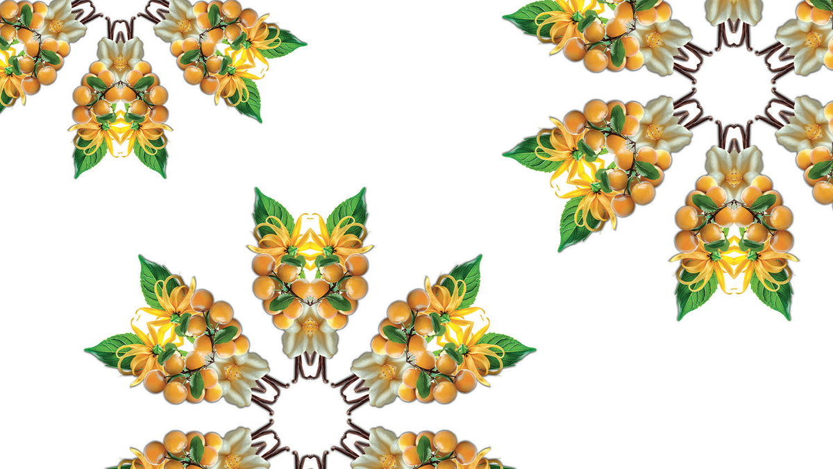 Fruity Sun