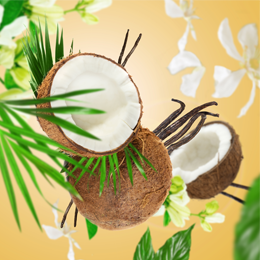 #FF9700--https://cdn.shopify.com/s/files/1/0528/3604/0898/files/Perfume-Note_260x260_Coconut_Monoi.png?v=1614918047