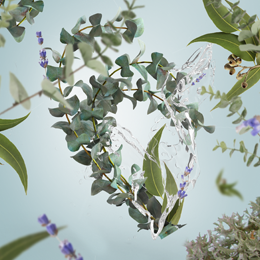 Fresh Eucalyptus 500ml