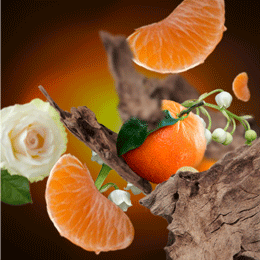 Sandalwood Temptation 1L