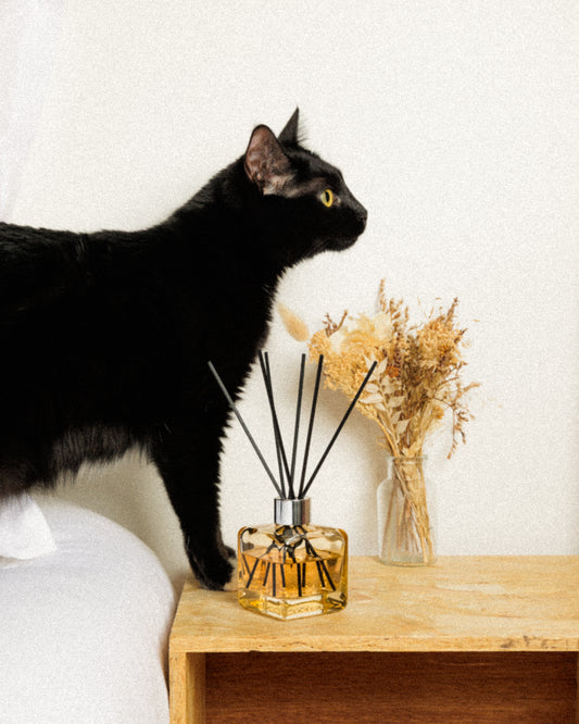 Anti-Odour Pets Scented Bouquet Refill