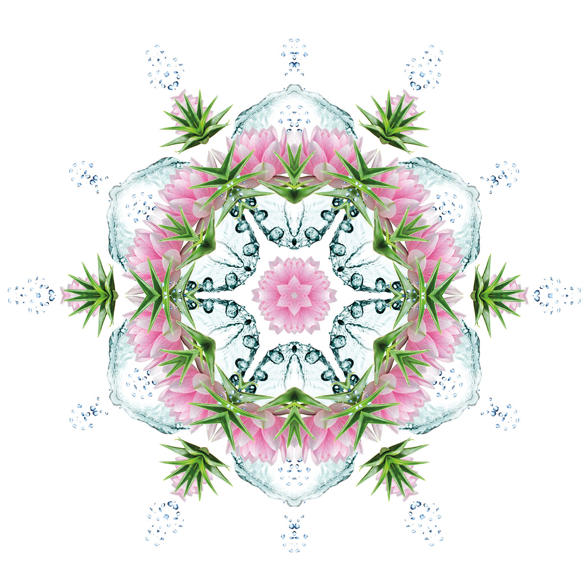 Aloe Vera Water