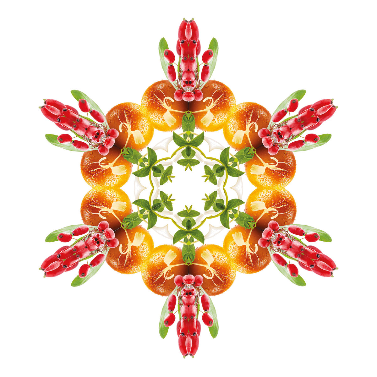 Goji Berries