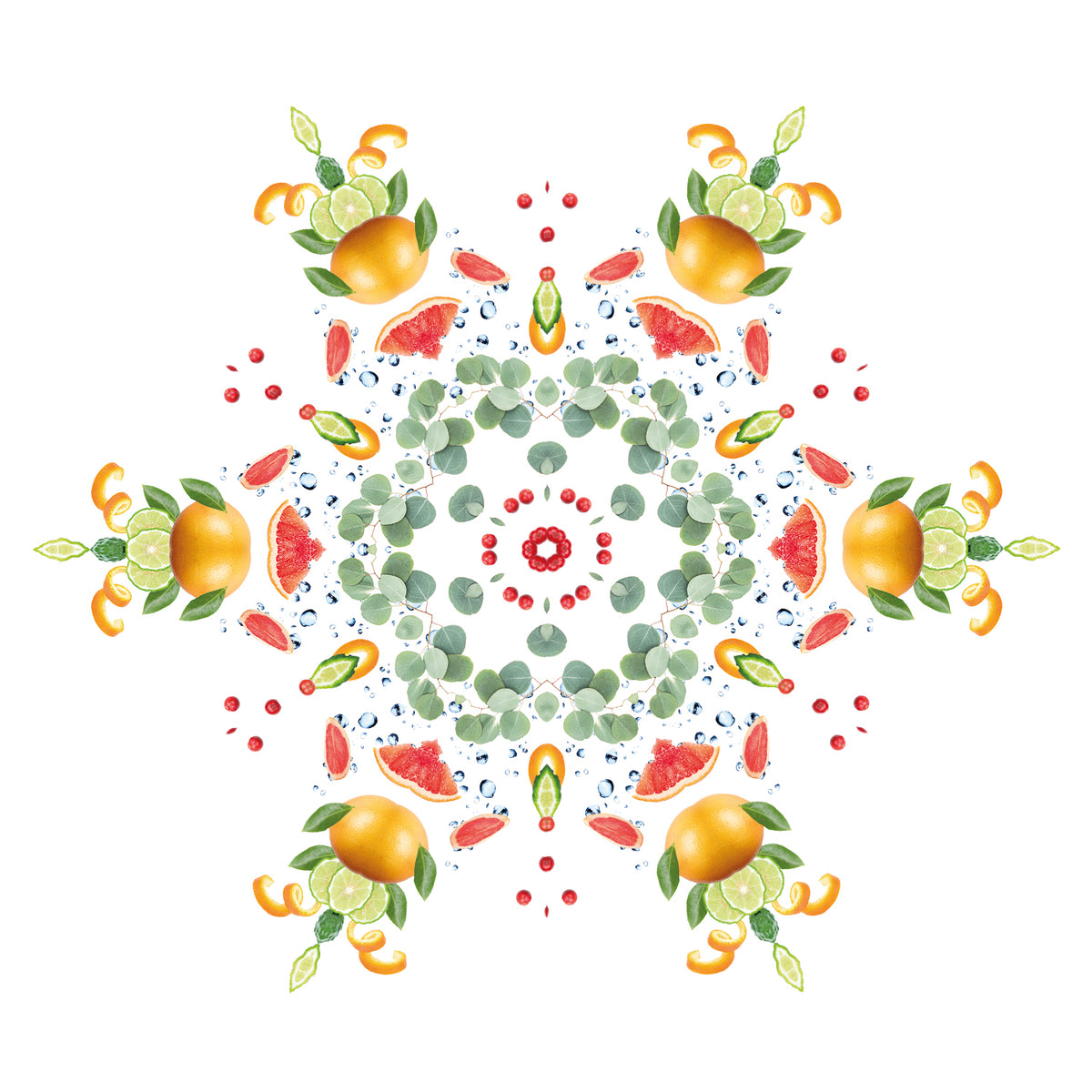 Citrus Breeze