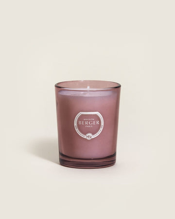 Black Angelica Duality Candle