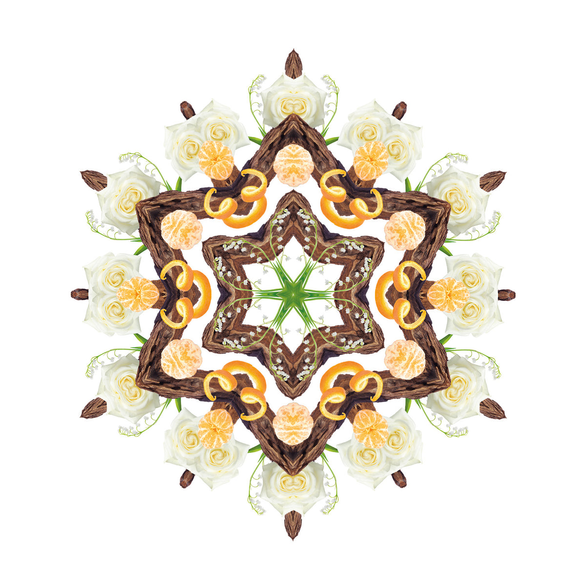 Enchanting Sandalwood
