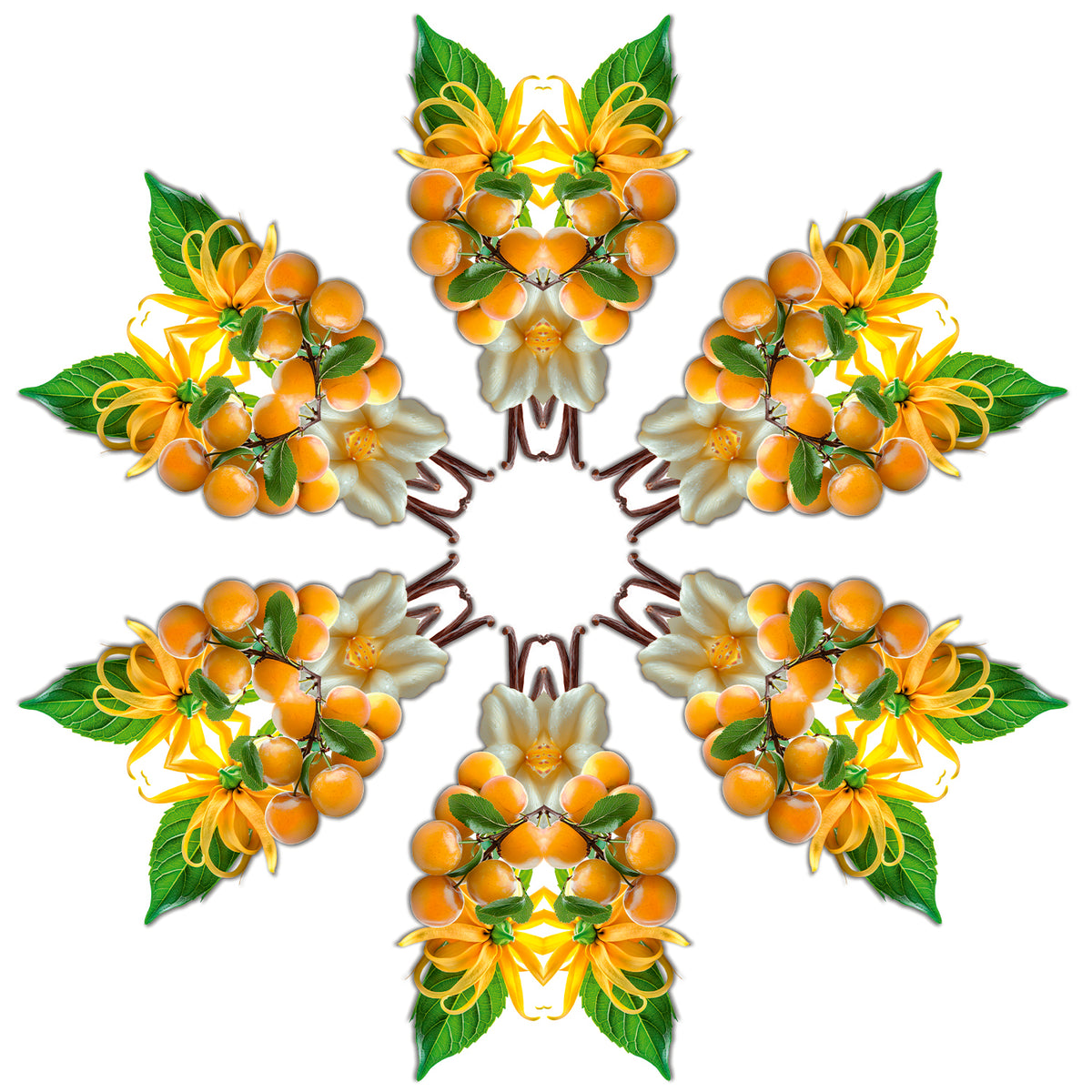 Fruity Sun