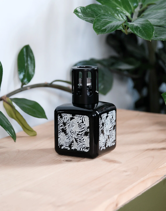 Glaçon Animal Amber Powder Lampe Coffret Gift Set
