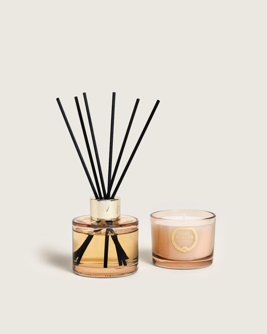 Holly Amber Powder Mini Duo Bouquet & Candle