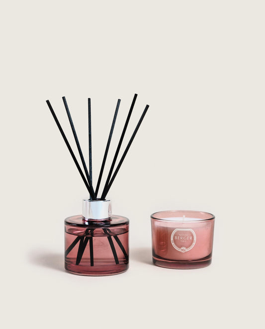 Joy Agaves Garden Mini Duo Bouquet & Candle