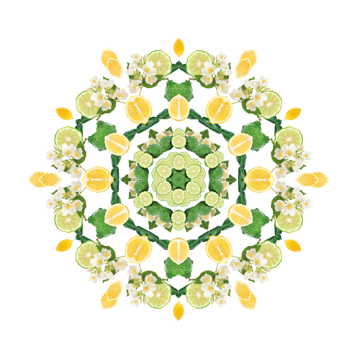 Lemon Flower
