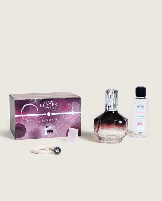 Molecule Lampe Coffret Plum