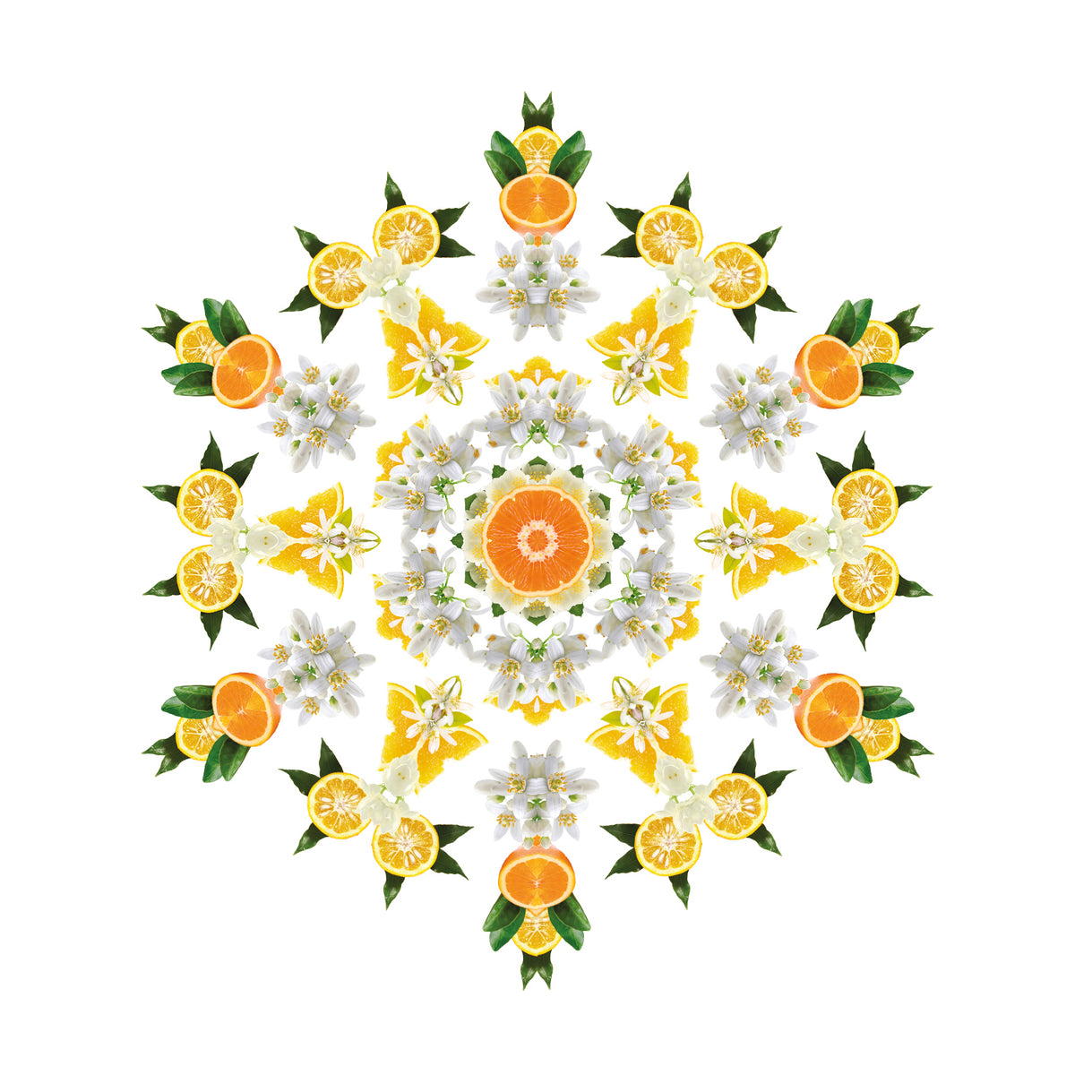 Orange Blossom