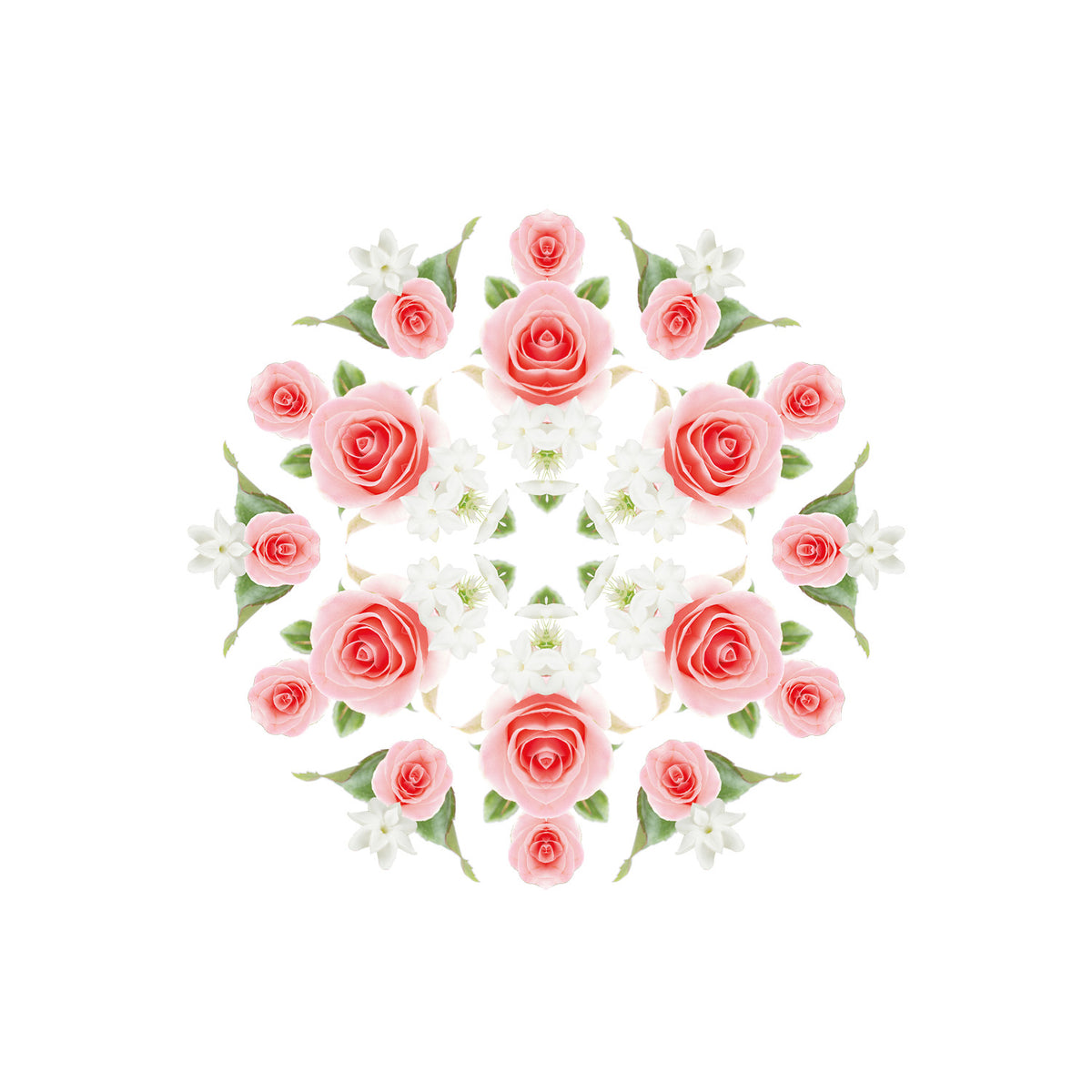 A Rose Is A Rose