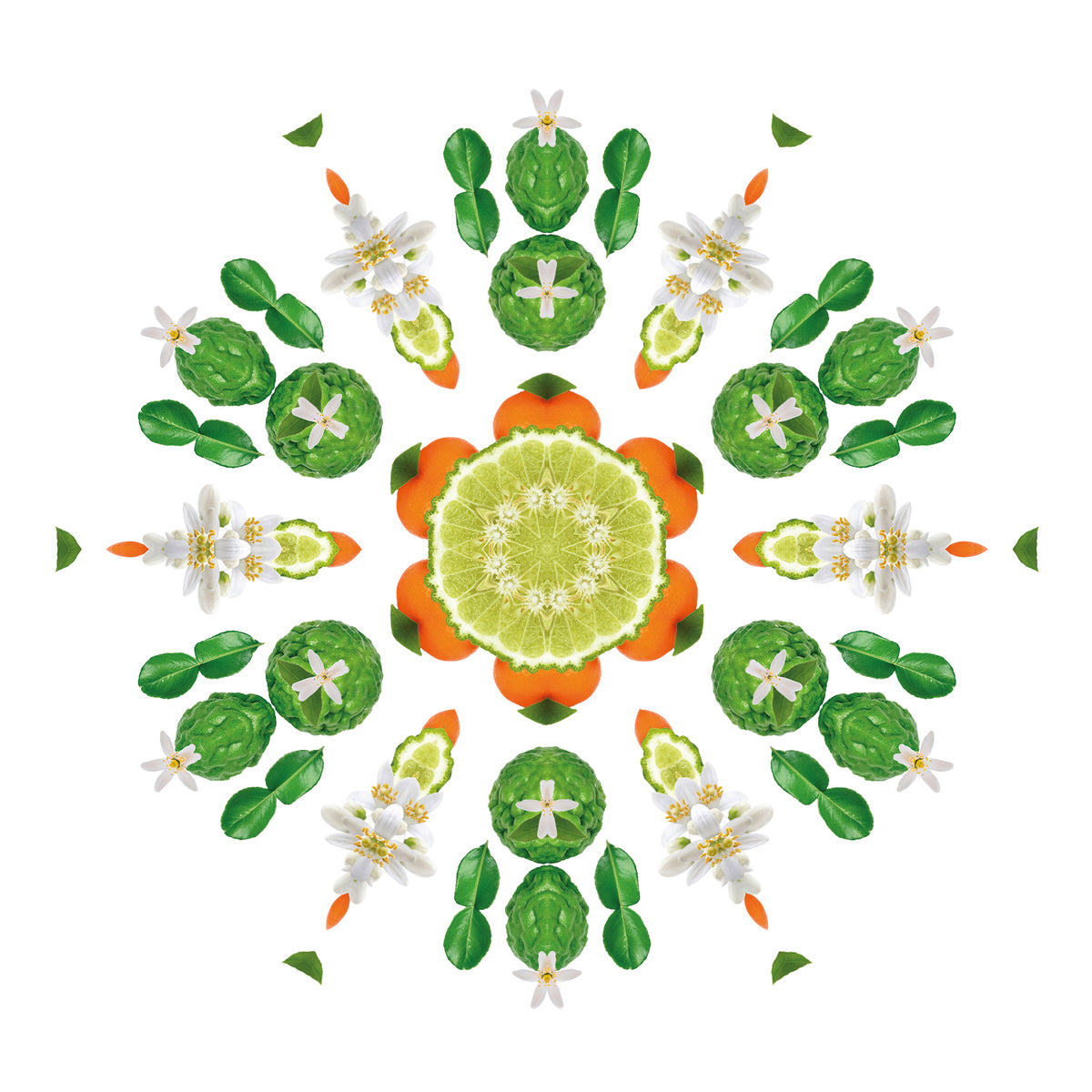 Radiant Bergamot