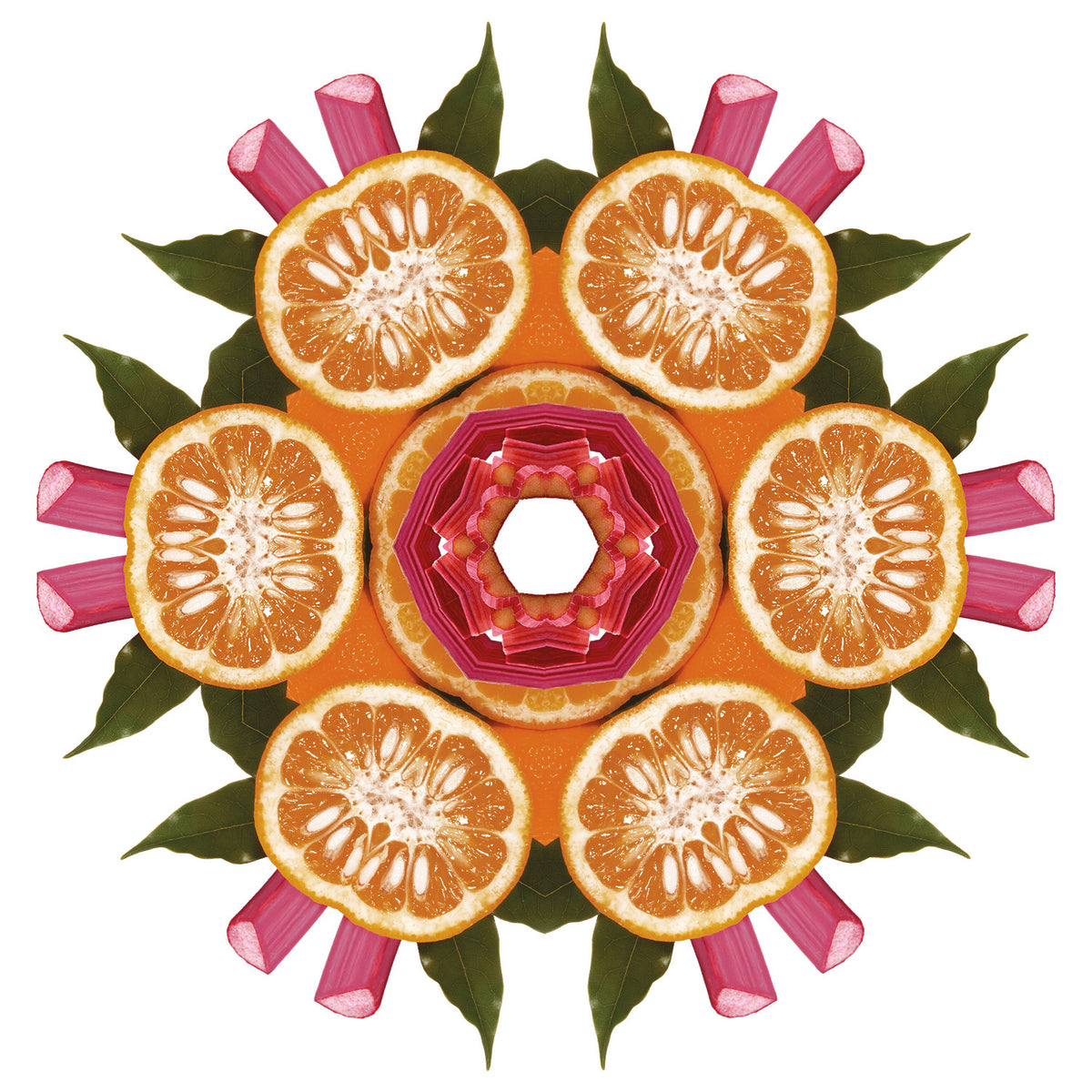 Rhubarb Radiance