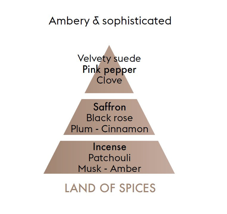 Scented Cube Land Of Spices - Maison Berger Paris