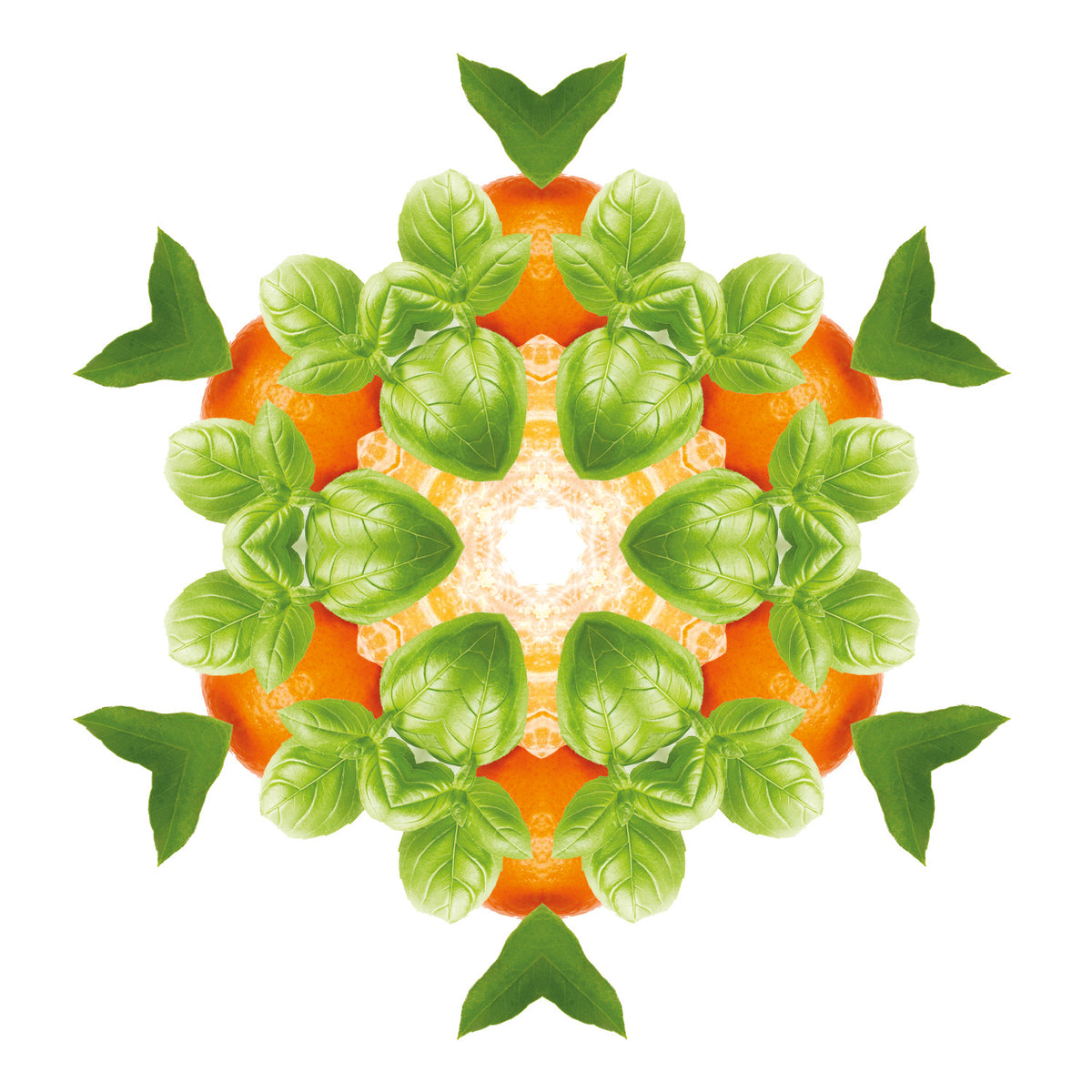 Savory Tangerine