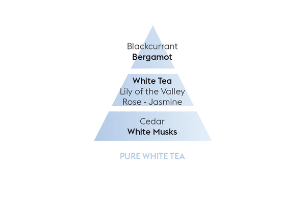 Scented Cube Pure White Tea - Maison Berger Paris