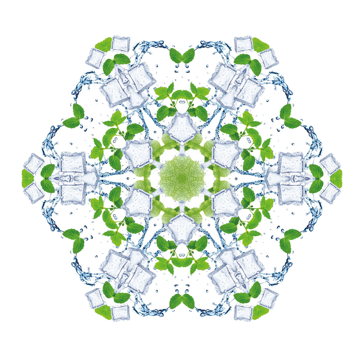 Water Mint