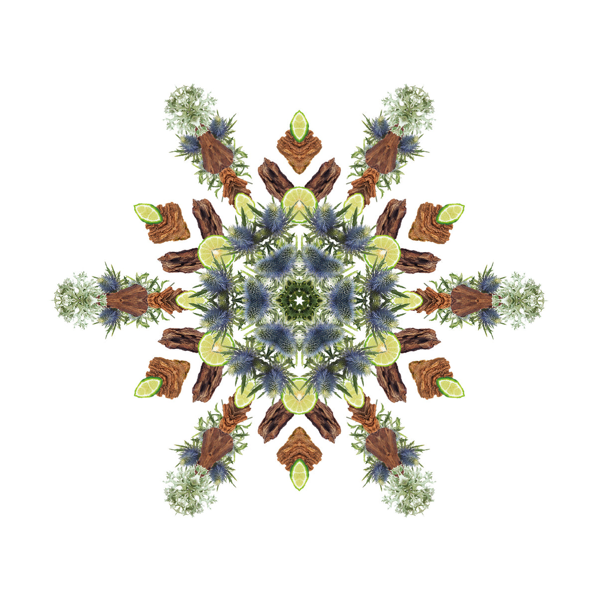 Wild Flower