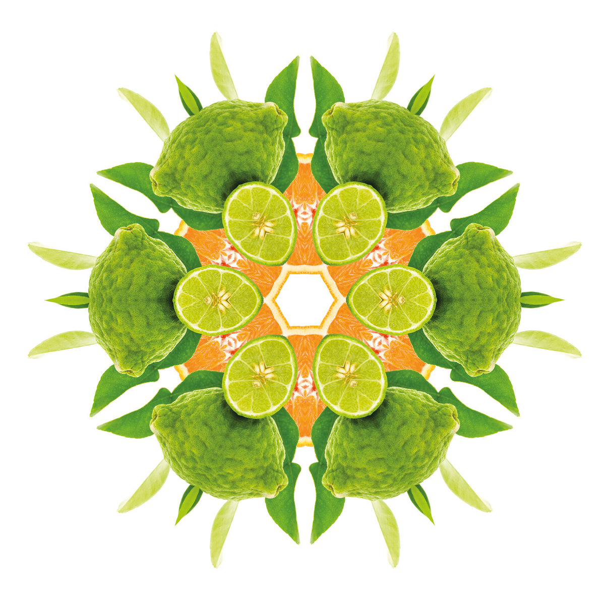 Zest of Green Orange