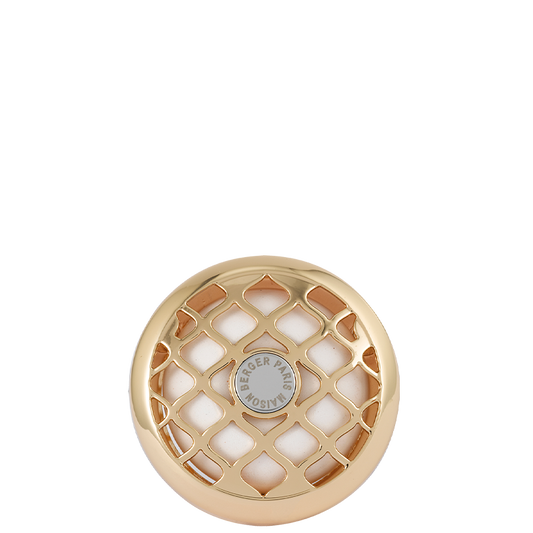 Car Diffuser Vent Clip - Resonance Gold