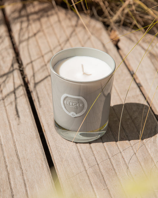 Citronnelle Candle