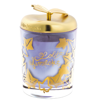#FFB0C0--https://cdn.shopify.com/s/files/1/0528/3604/0898/files/lolita_lempicka.png?v=1614913592